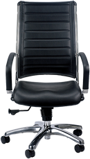 Europa High Back Task Chair