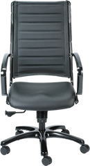 Europa Titanium Frame High Back Task Chair