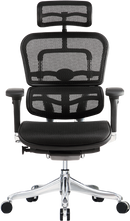 Ergo Elite High All Mesh Ergonomic Task Chair