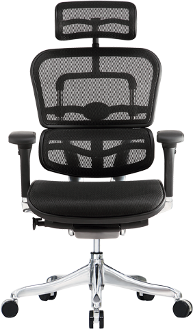 Ergo Elite High All Mesh Ergonomic Task Chair