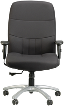 Excelsior 350 Ergonomic Task Chair