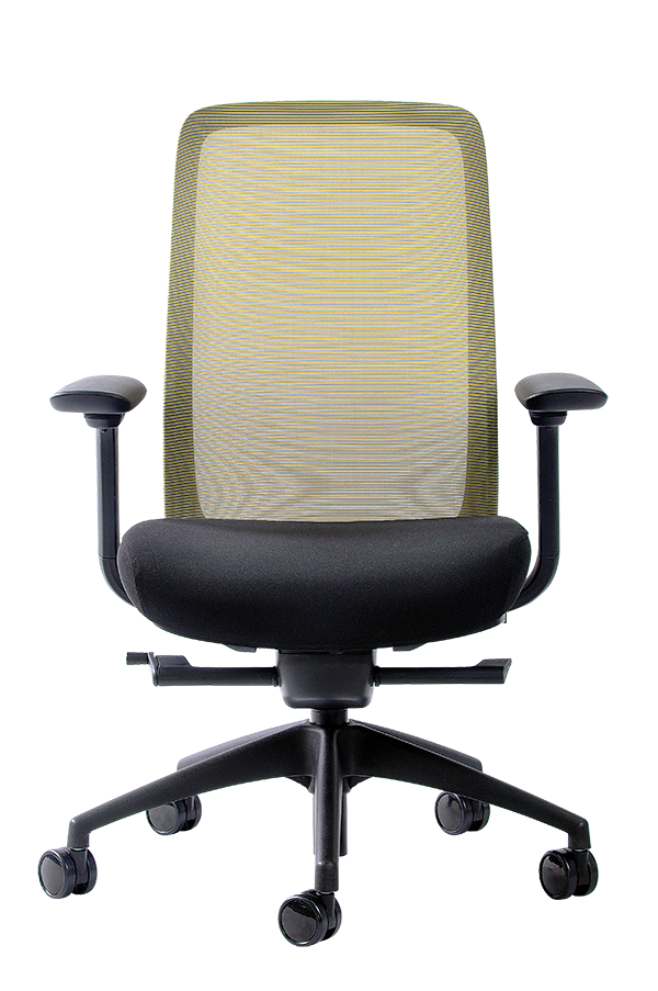 Eurotech Vera Mesh Fabric Task Chair