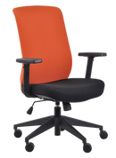 Gene Mesh And Fabric Task Chair