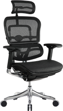 Ergo Elite High All Mesh Ergonomic Task Chair