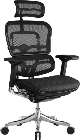 Ergo Elite High All Mesh Ergonomic Task Chair