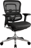 Ergo Elite Mesh Ergonomic Task Chair