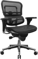 Ergohuman Mesh Task Chair