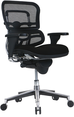 Eurotech Ergohuman Fabric Back Fabric Seat Hi Ergonomic Task Chair