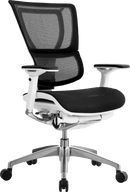 iOO Executive Mesh Synchro-Tilt Back Ergonomic Task Chair