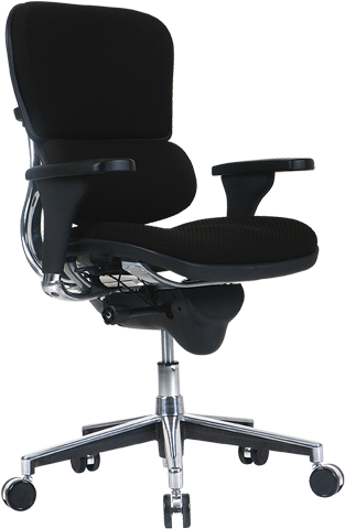 Ergohuman Fabric Back Seat Low Ergonomic Task Chair