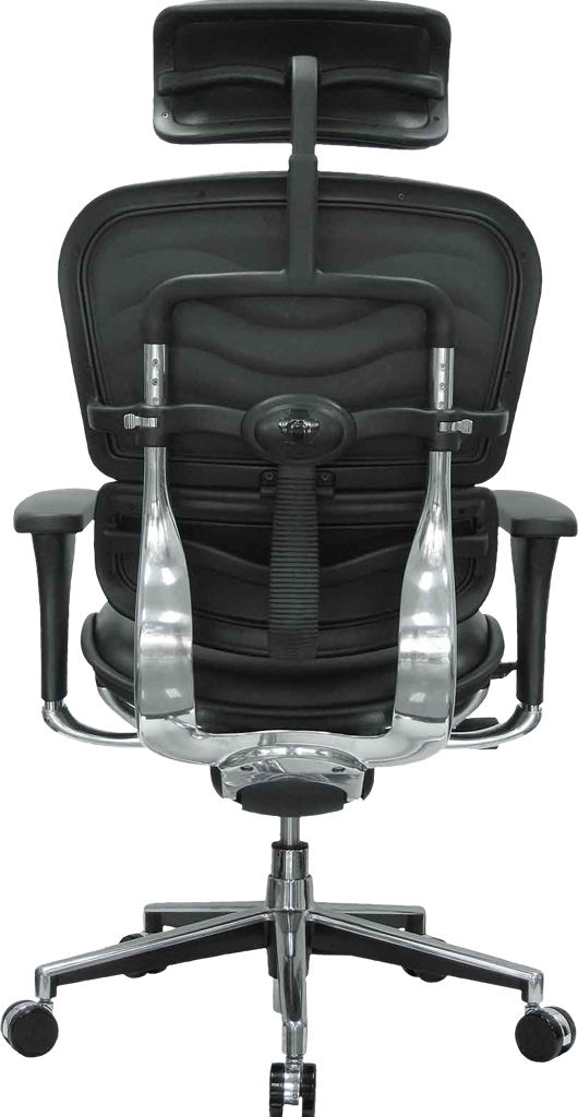 Ergohuman discount leather chair