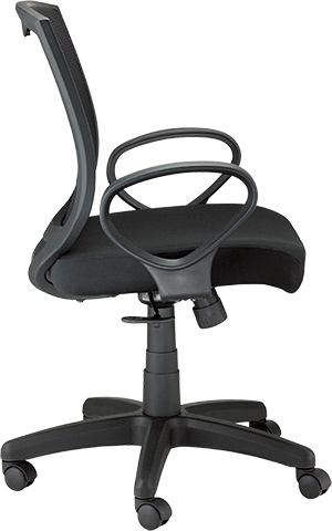 Eurotech Maze Task Chair with Loop Arms