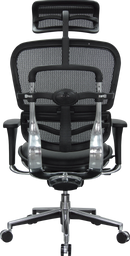 Ergohuman High Leather Seat & Mesh Back Ergonomic Office Chair