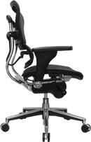 Ergohuman Mesh Task Chair