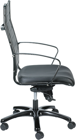 Eurotech Europa Titanium Frame High Back Task Chair