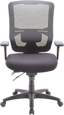 Apollo II Multi Function High Back Task Chair (With Adjustable Lumbar Pad)