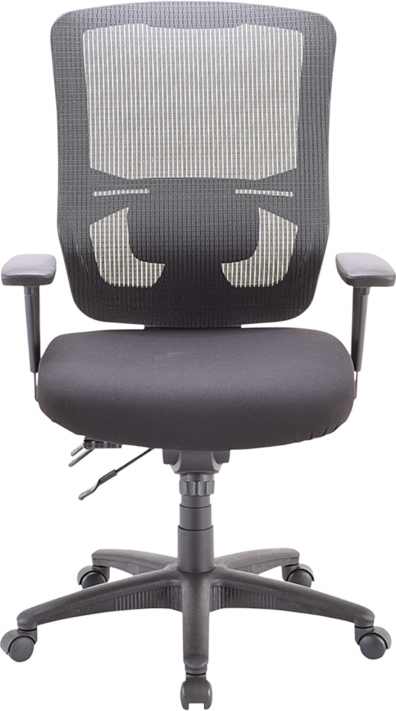Eurotech Apollo II Multi Function High Back Task Chair (With Adjustable Lumbar Pad)