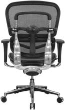 Ergohuman Mesh Task Chair