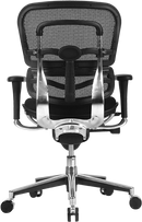 Ergohuman Mesh Back Fabric Seat Low Ergonomic Task Chair