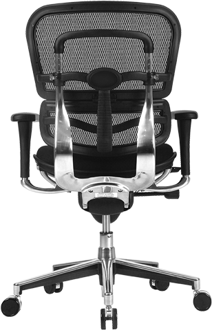 Eurotech Ergohuman Mesh Back Fabric Seat Low Ergonomic Task Chair