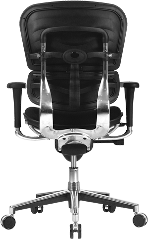 Eurotech Ergohuman Fabric Back Seat Low Ergonomic Task Chair