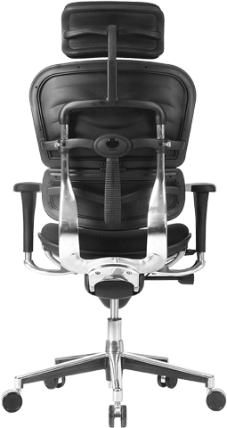 Eurotech Ergohuman Mesh Back Fabric Seat Hi Ergonomic Task Chair