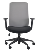 Gene Mesh And Fabric Task Chair